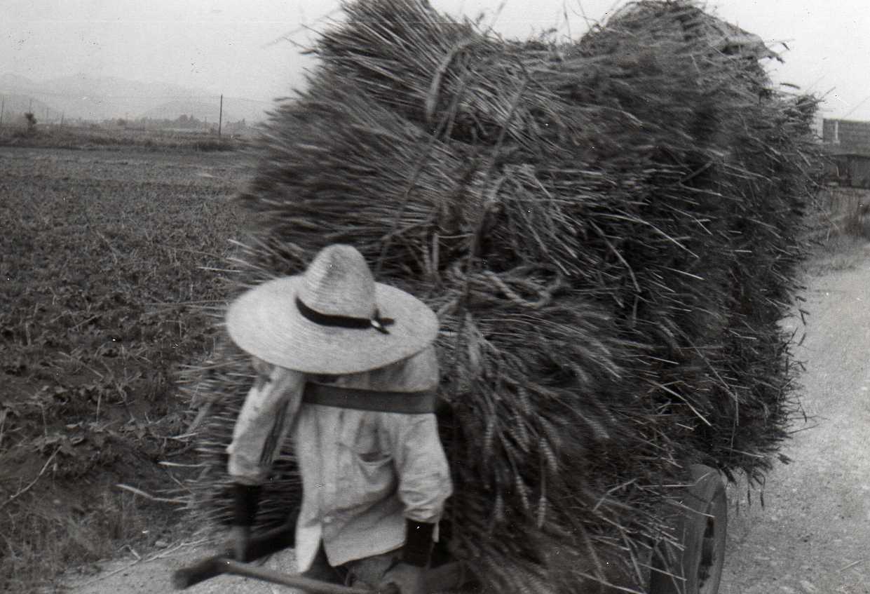 Image 69